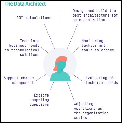 the data architect