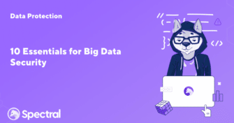 10 Essentials for Big Data Security