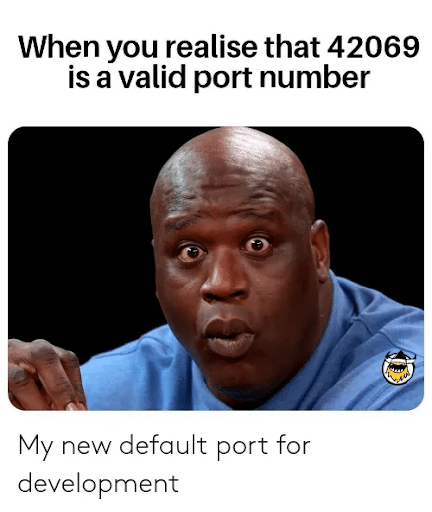 42069 is a valid port