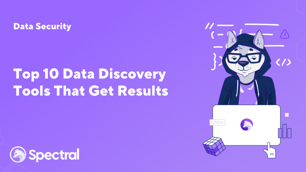 top 10 data discovery tools