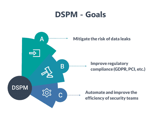 DSPM Goals